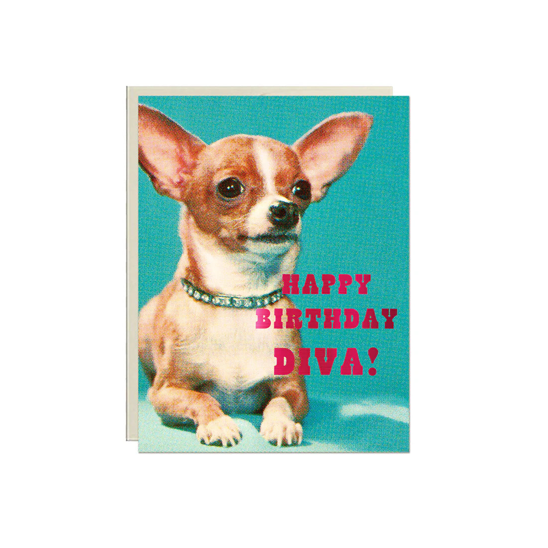Happy Birthday Diva!
