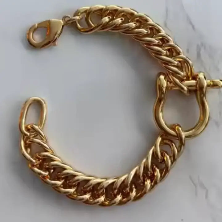 Horse Bit Carabiner Cuban Bracelet- Equestrian Steel