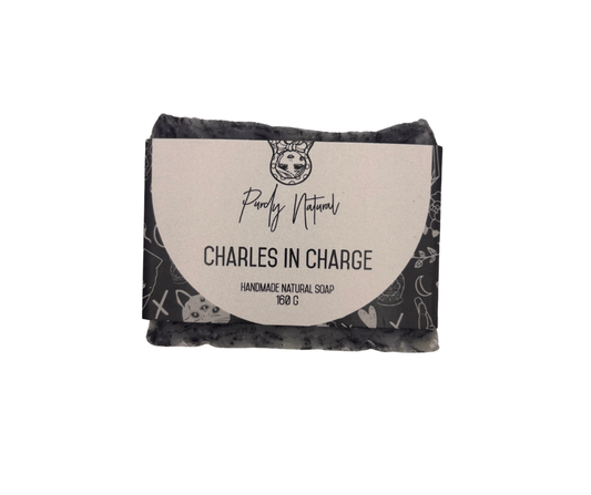 Charles in Charge Soap