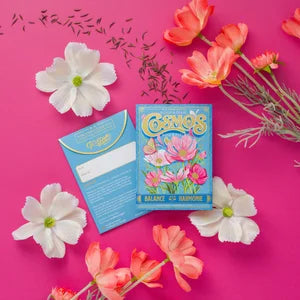 Cosmos Blush & Pearl (Balance) - Seed Packet