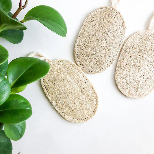 Biodegradable Oval Loofah Dish Sponge