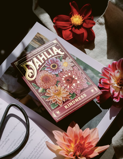 Dahlia (Kindness) - Seed Packet