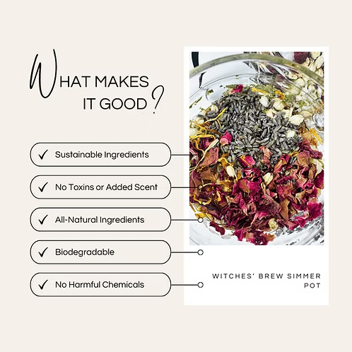 Witches' Brew Simmer Pot