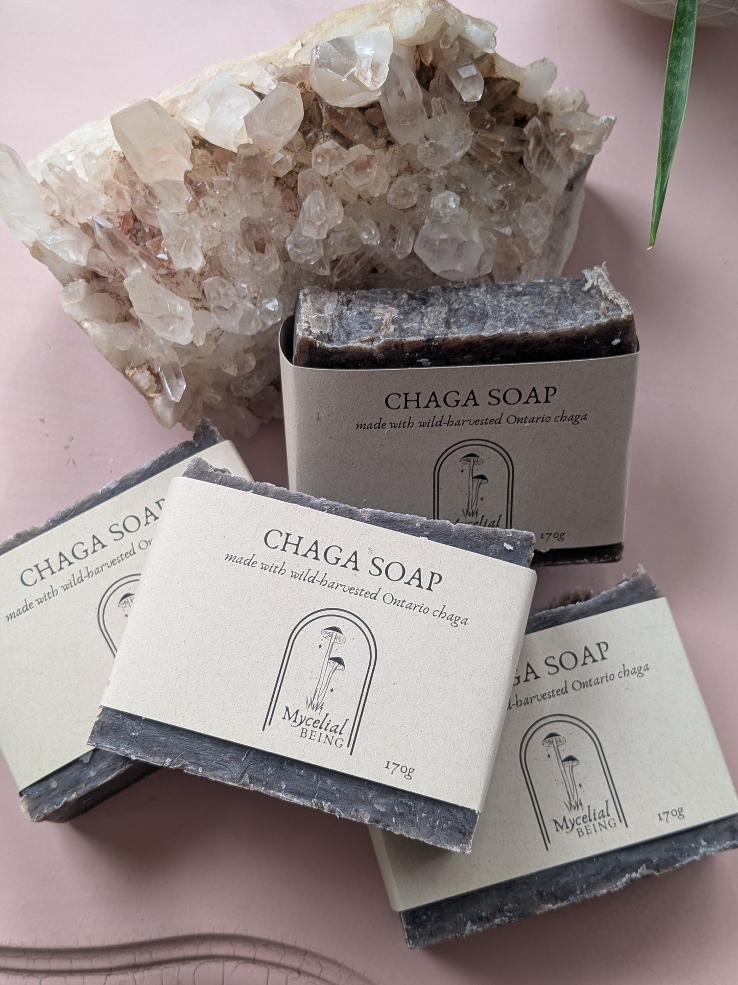 Mushroom Soap