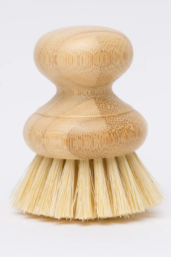 Short Handle Dish Brush