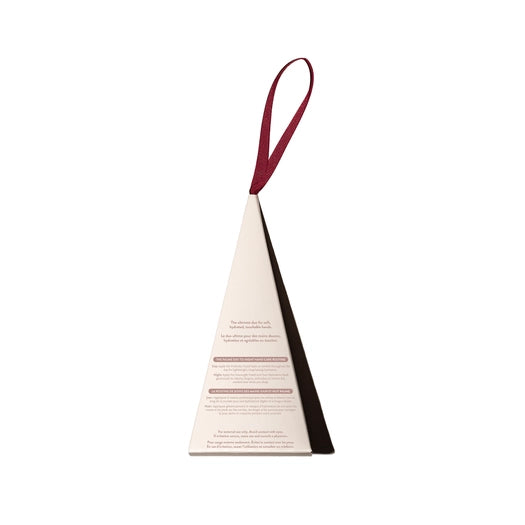 Mini Hand Care Duo Holiday Ornament