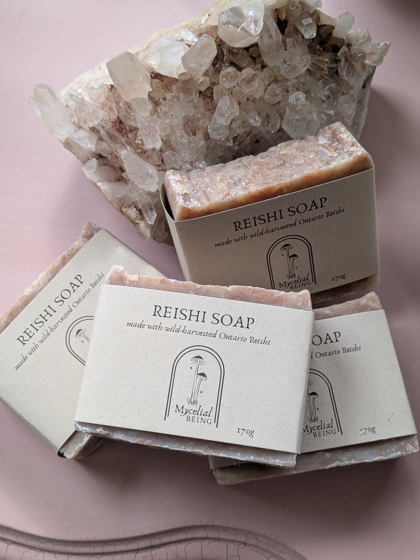 Mushroom Soap