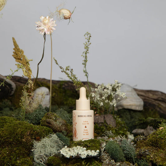 Tallow Face Oil