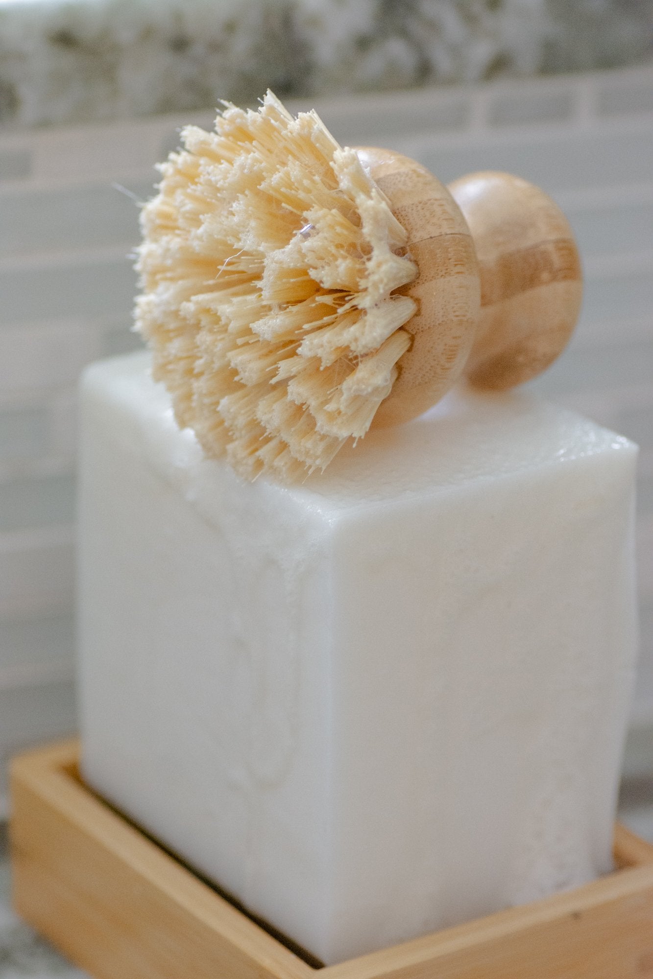 Short Handle Dish Brush