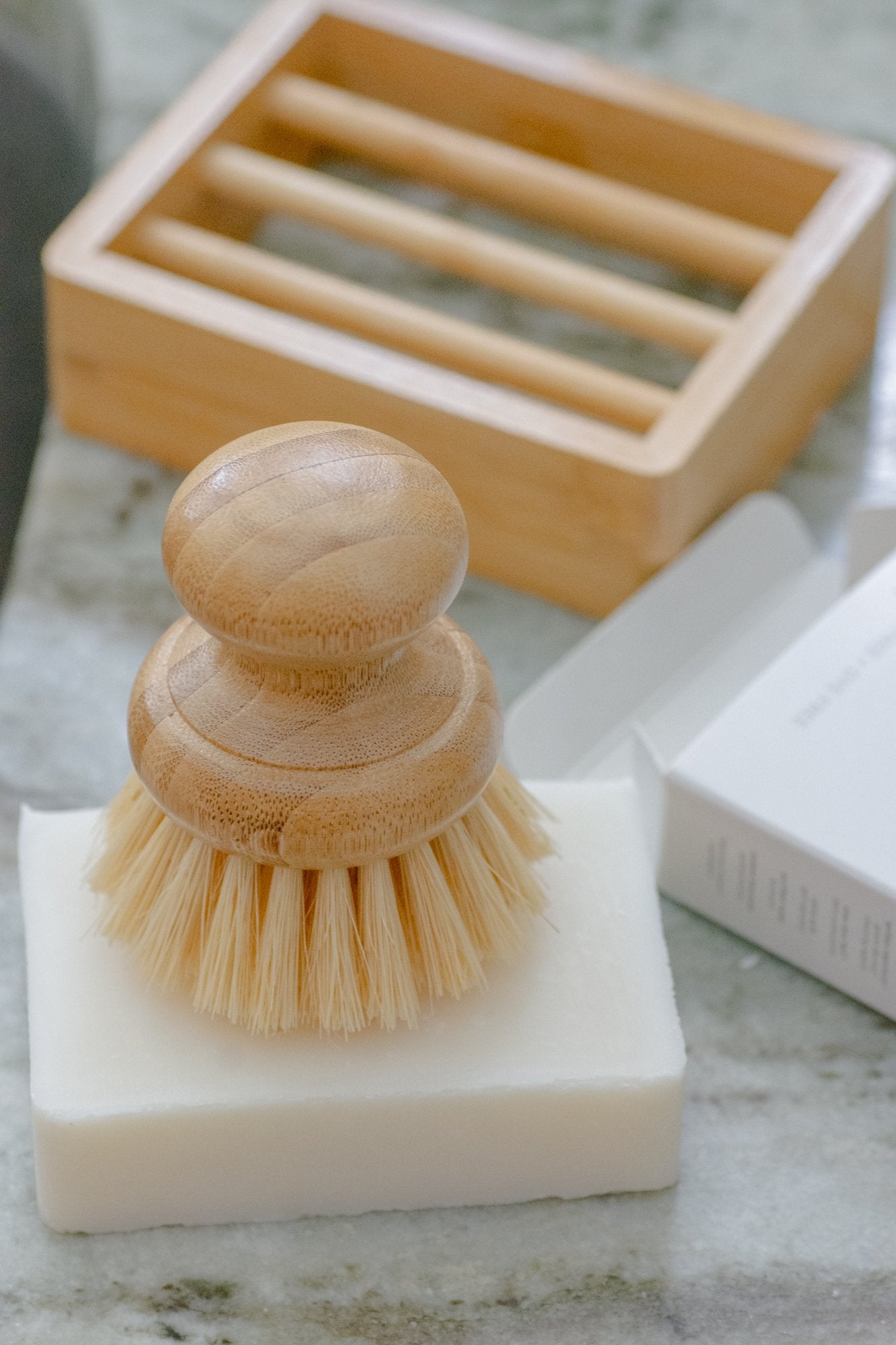 Short Handle Dish Brush
