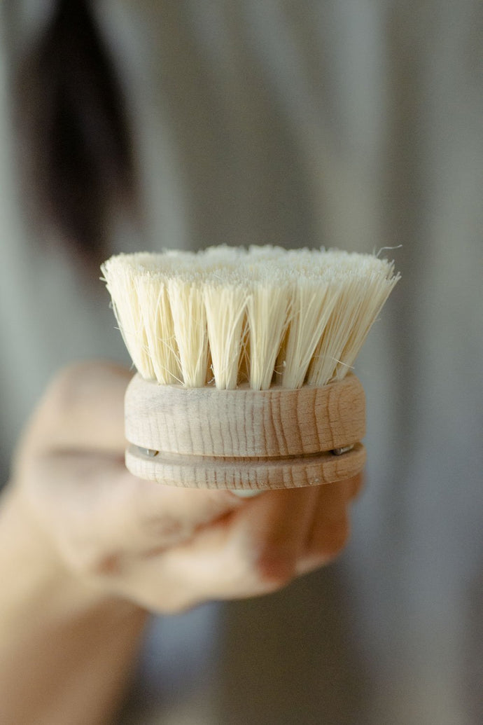Replacement Head For Dish Brush
