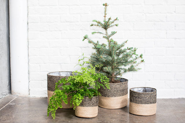 Black Jute Baskets