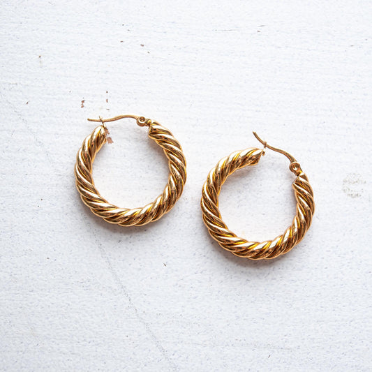 Hoop de Hoop Earrings